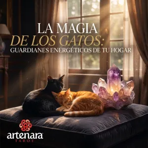 La Magia de los Gatos: Guardianes Energéticos de tu Hogar